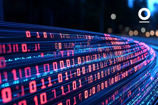  L'organe de révision face à l'environnement numérique